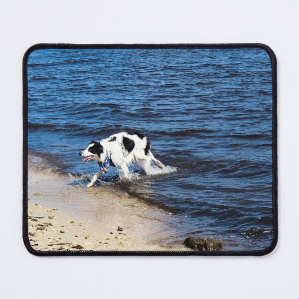 Item preview, Australian Shepherd Done Swimming designed and sold by banditandkoko.