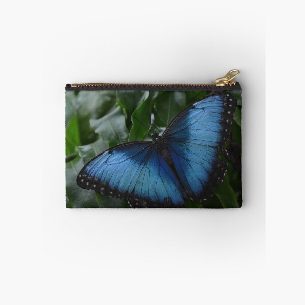 Item preview, Blue Morpho Butterfly on Fernleaf designed and sold by Paula Betz.