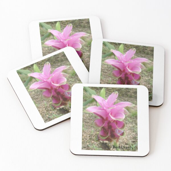 Item preview, Red cherry is common name in Curcuma sp. designed and sold by greengoodnich.