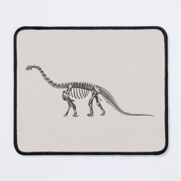 Item preview, Dinosaur Collection - Camarasaurus Skeleton designed and sold by Artificialx.