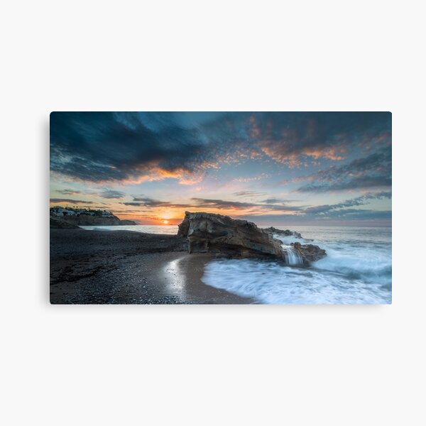 Metal Print
