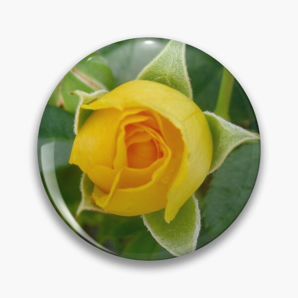 Item preview, Yellow Rosebud designed and sold by Shulie1.