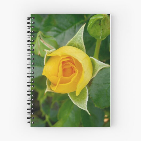 Item preview, Yellow Rosebud designed and sold by Shulie1.