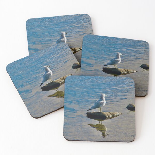 Item preview, Seagull on a rock designed and sold by Shulie1.