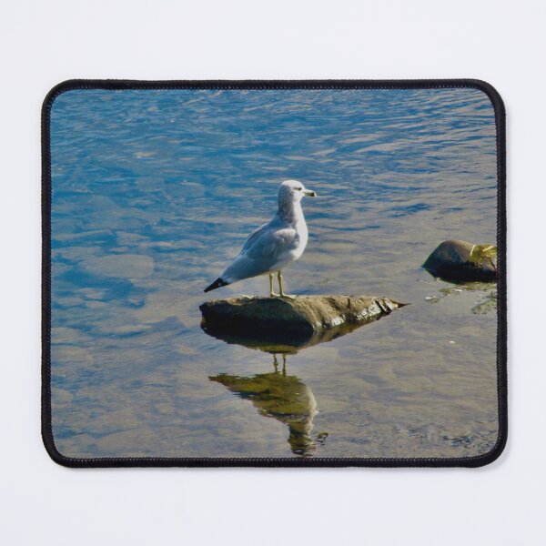 Item preview, Seagull on a rock designed and sold by Shulie1.