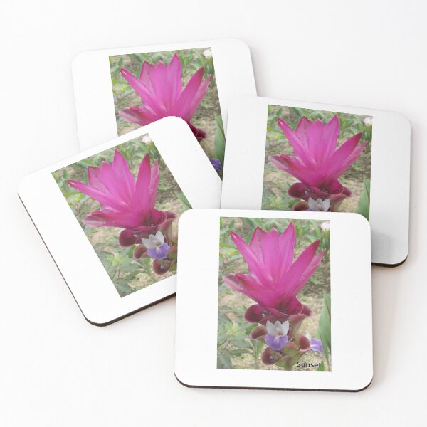 Item preview, Sunset is a common name in Curcuma sp. designed and sold by greengoodnich.