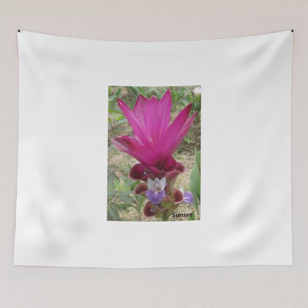 Item preview, Sunset is a common name in Curcuma sp. designed and sold by greengoodnich.