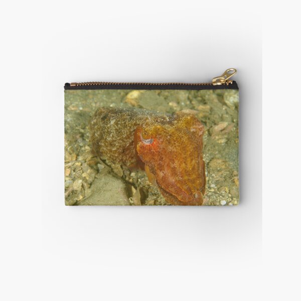 Item preview, Juvenile Giant Cuttlefish - Sepia apama designed and sold by Andrew Trevor-Jones.