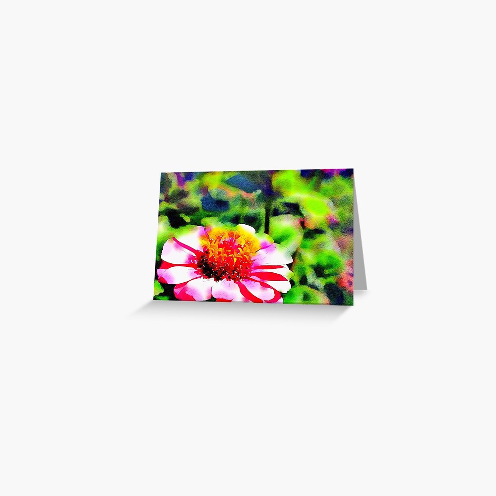Zinnia Watercolor Greeting Card