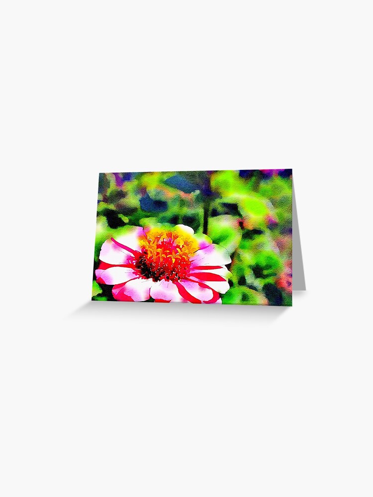 Thumbnail 1 of 2, Greeting Card, Zinnia Watercolor designed and sold by douglasewelch.