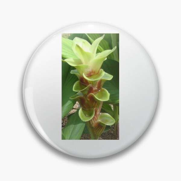 Item preview, Chocolate is a common name in Curcuma sp : graphic flower. designed and sold by greengoodnich.