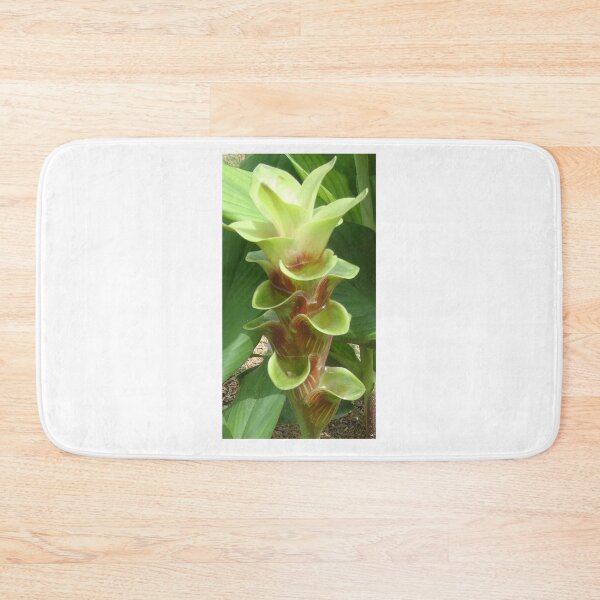Item preview, Chocolate is a common name in Curcuma sp : graphic flower. designed and sold by greengoodnich.