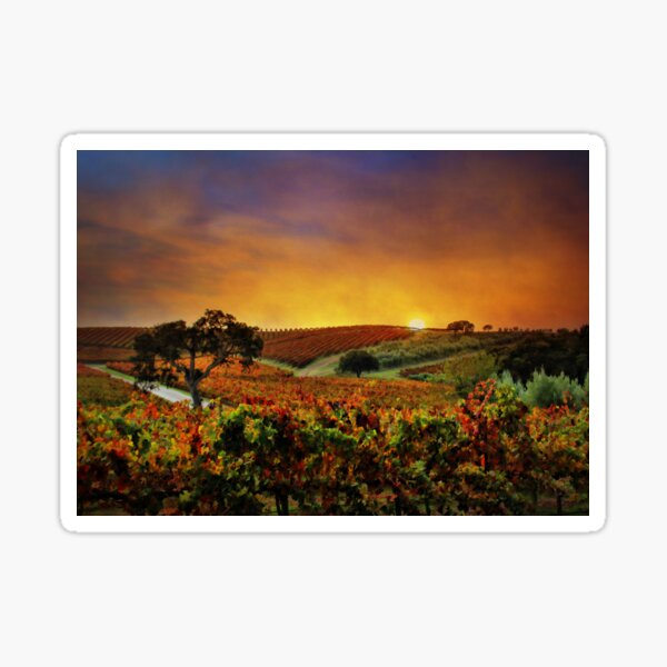 Item preview, Autumn Vineyard designed and sold by Stephanie Laird.