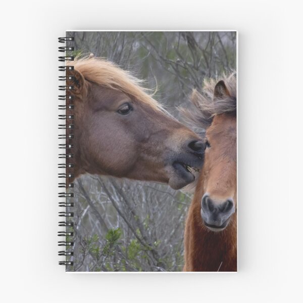 Item preview, A Kiss or Not Wild Horses designed and sold by nbrandsberg.