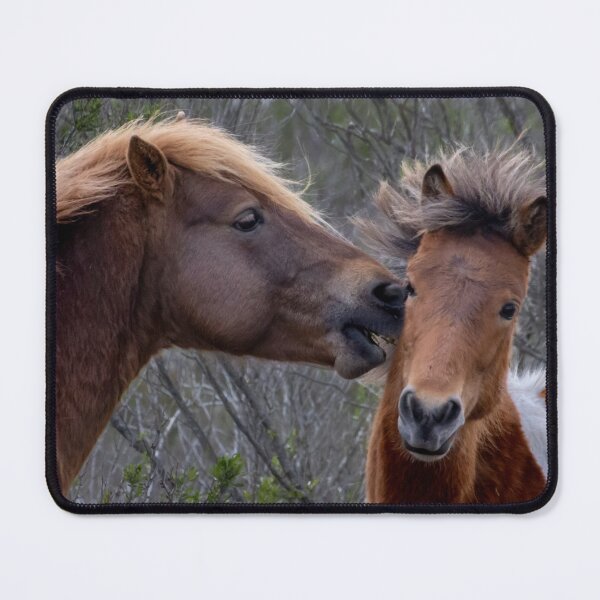 Item preview, A Kiss or Not Wild Horses designed and sold by nbrandsberg.