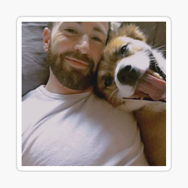 Item preview, Chris Evans and Dodger designed and sold by pearlrivermist.