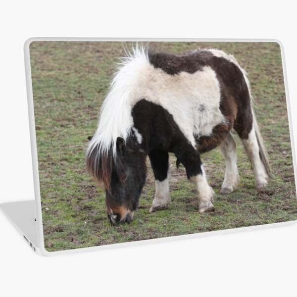 To cute Laptop Skin