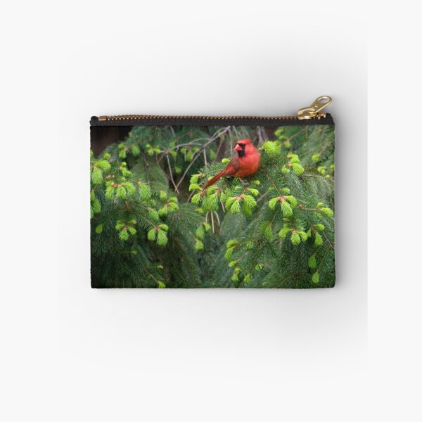 Item preview, Papa Cardinal on the Lookout designed and sold by Gene Walls.