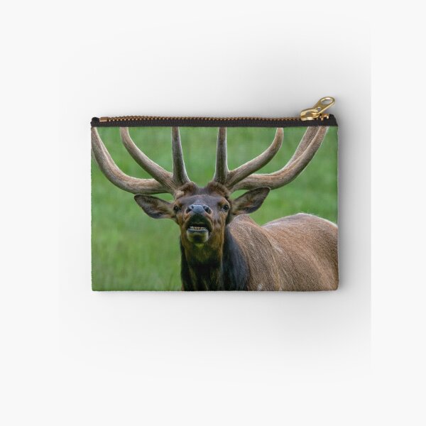 Item preview, That's A Lotta Bull designed and sold by TeresaB.