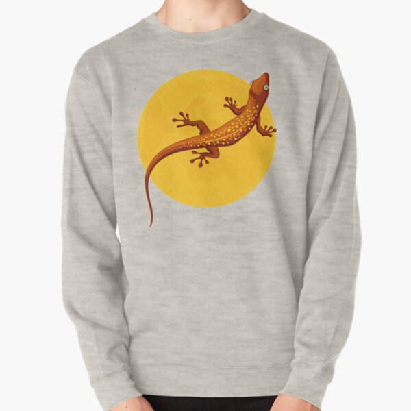 Lizard on the moon Pullover Sweatshirt