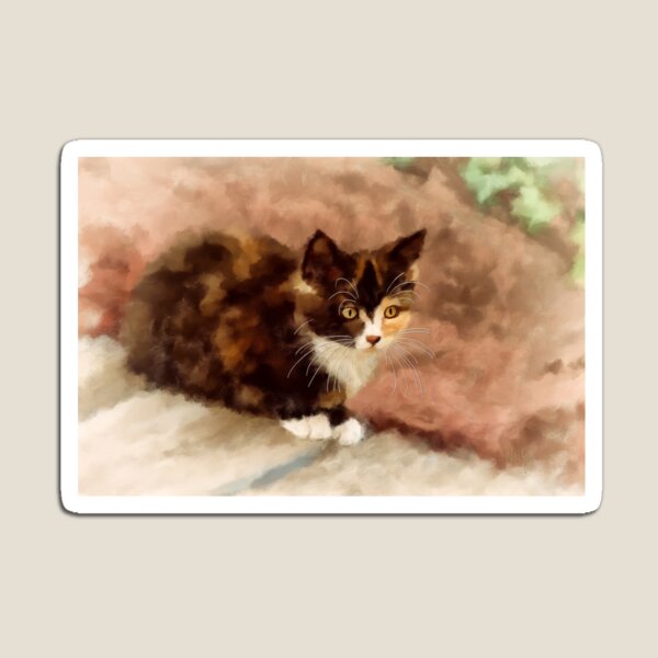 Calico Kitten Magnet
