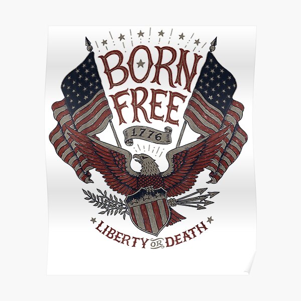 Vintage Born Free Eagle American Flag 1776 4th Of July Usa Poster