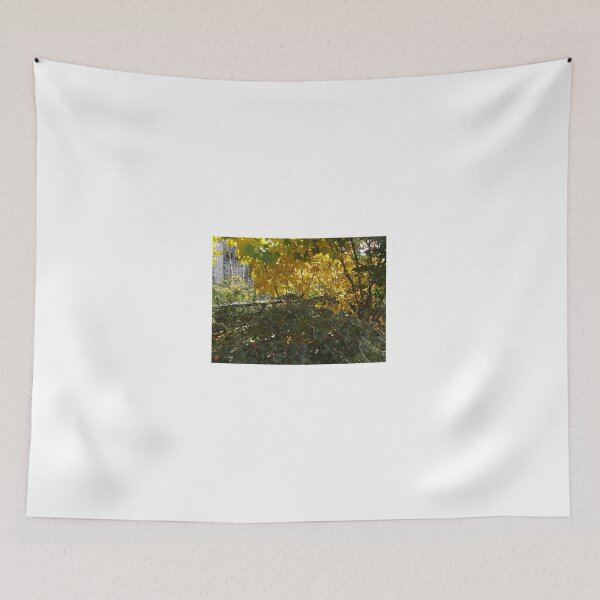 Item preview, Autumn Colors, New York City designed and sold by lenspiro.