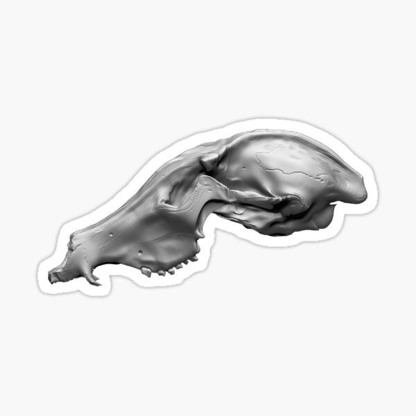 Item preview, Copy of Maned wolf 3D Zbrush halloween skull designed and sold by RIOKOTZU.