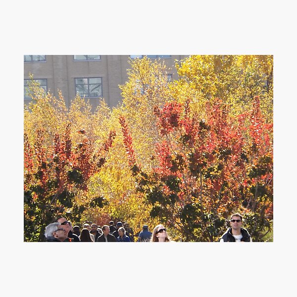 Item preview, Autumn Colors, New York City designed and sold by lenspiro.