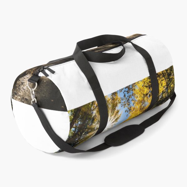 Item preview, Luminous Aspens designed and sold by nbrandsberg.