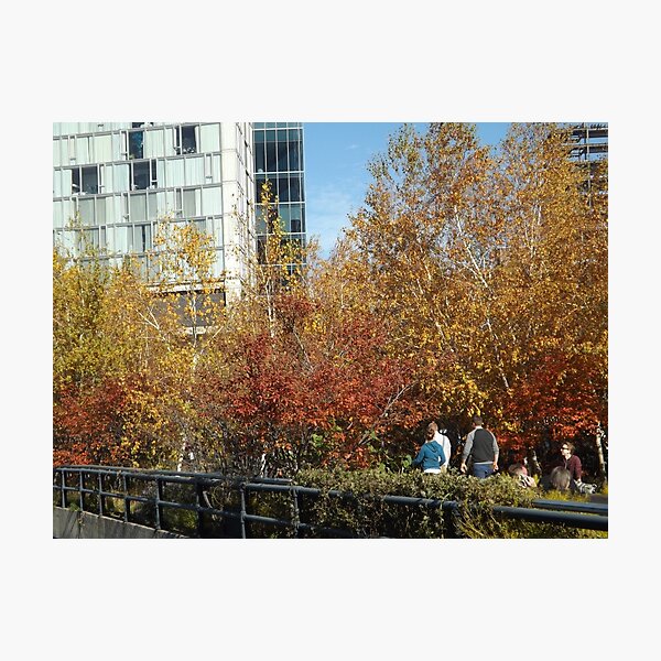 Item preview, Autumn Colors, New York City designed and sold by lenspiro.