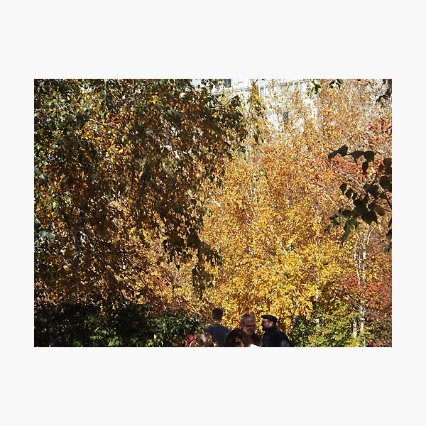 Item preview, Autumn Colors, New York City designed and sold by lenspiro.