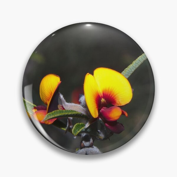 Item preview, Flowers - A Bright Yellow Australian Native Pea Flower, Western Australia designed and sold by Jason Gilbert.