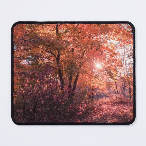 Item preview, Autumn Path Reimagined designed and sold by Georgia Mizuleva.