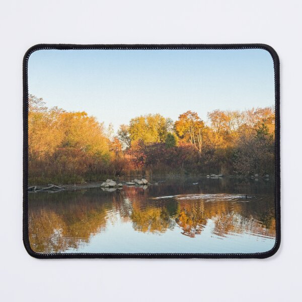 Item preview, Autumn Mirror - Silky Wavelets Caused by Ducks designed and sold by Georgia Mizuleva.