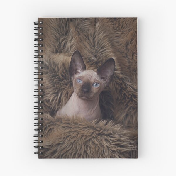 Item preview, Monty designed and sold by CathHolmesPhoto.