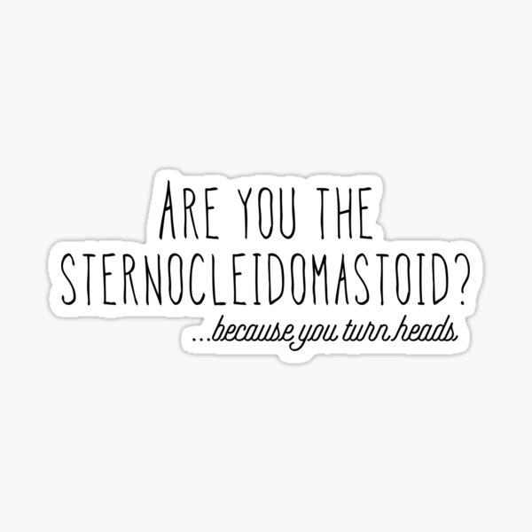 Sternocleidomastoid  Sticker