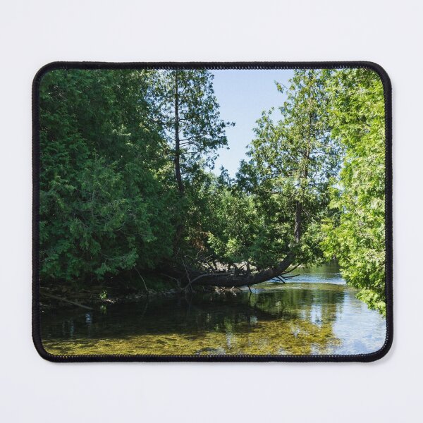 Item preview, Cypress Forest River - the Silky Sunshine of Summer designed and sold by Georgia Mizuleva.