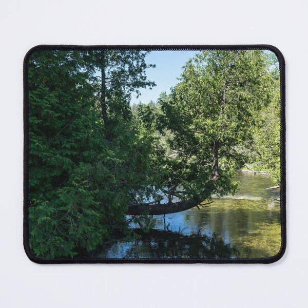 Item preview, Lean in - a Cypress Tree Elegantly Curved over a Wild River designed and sold by Georgia Mizuleva.