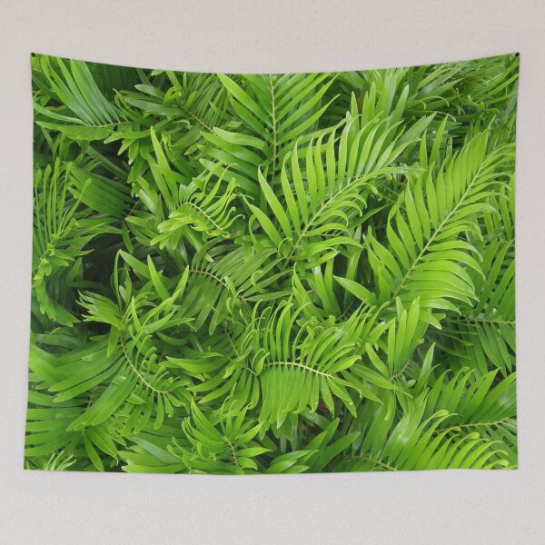 Item preview, Feathery Fern Fantasy designed and sold by Judith Hayes.