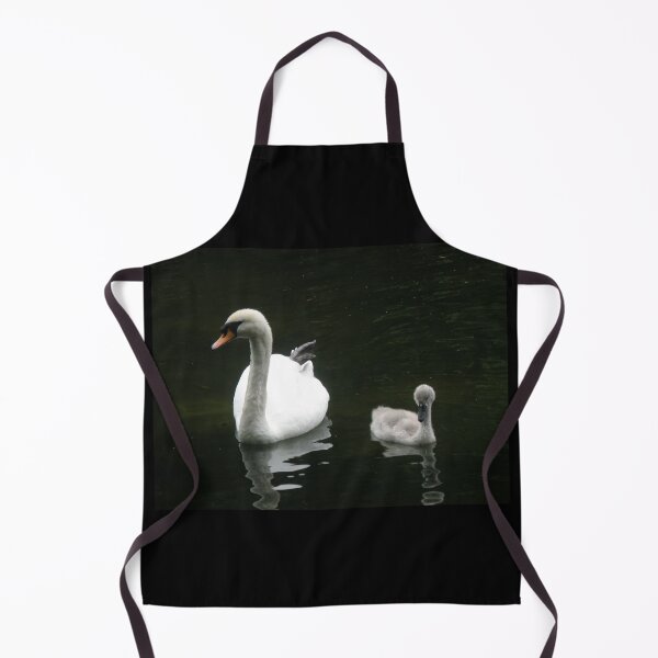 Item preview, Male Mute Swan and Fluffy Cygnet Photograph designed and sold by naturegallery.