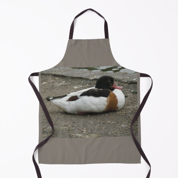 Item preview, Sleepy Shelduck on the Bank Photograph designed and sold by naturegallery.