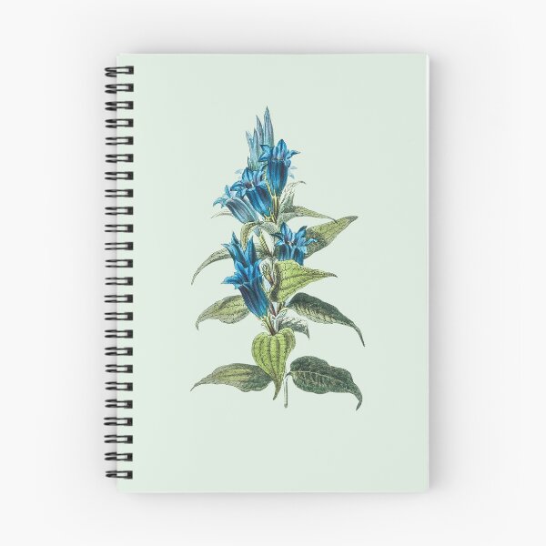 Item preview, Hand drawn blue willow gentian designed and sold by ChunkyPotato.