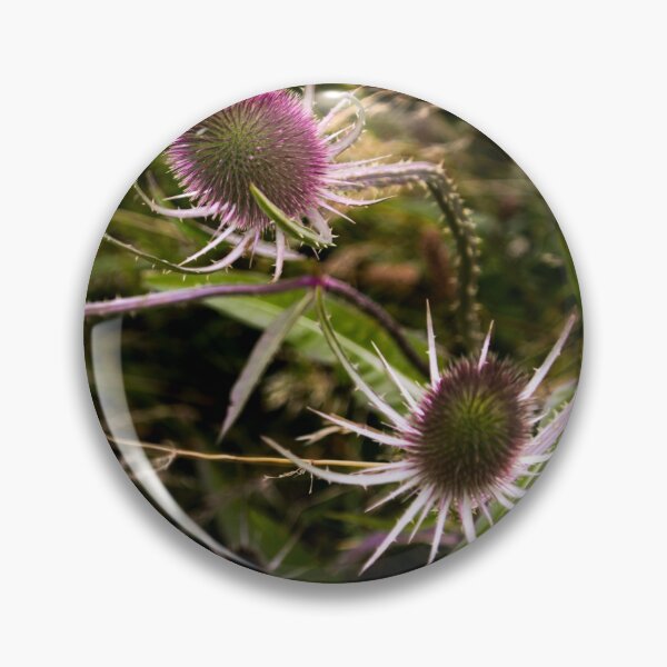 Artikelvorschau, Dutch Thistle Wildflowers entworfen und verkauft von nbrandsberg.