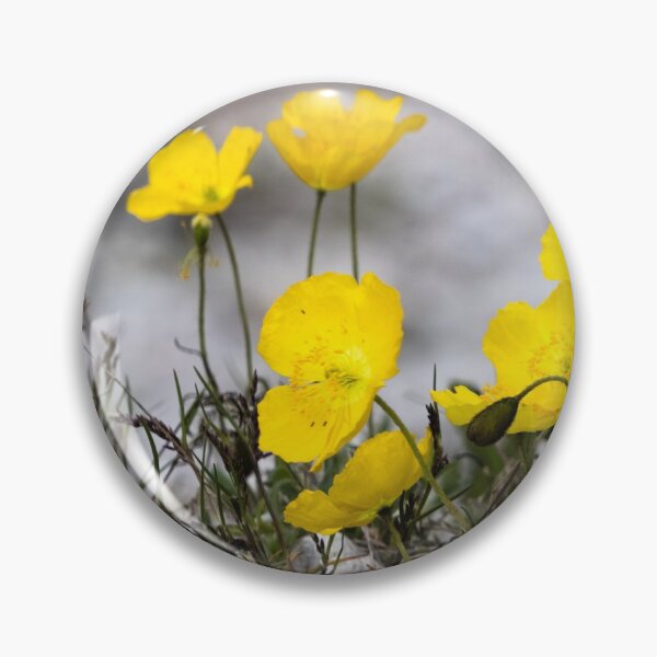 Item preview, Alpine Rhaeticum Poppy designed and sold by nbrandsberg.