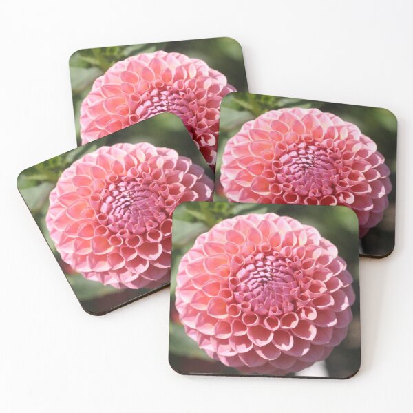 Item preview, Hermosa flor de Dalia rosa bajo el sol, designed and sold by 2020visuals.