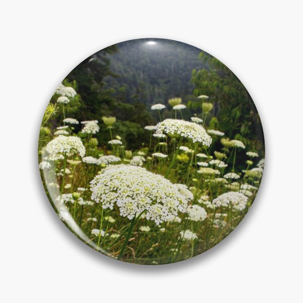 Item preview, Queens Anne Lace designed and sold by nbrandsberg.
