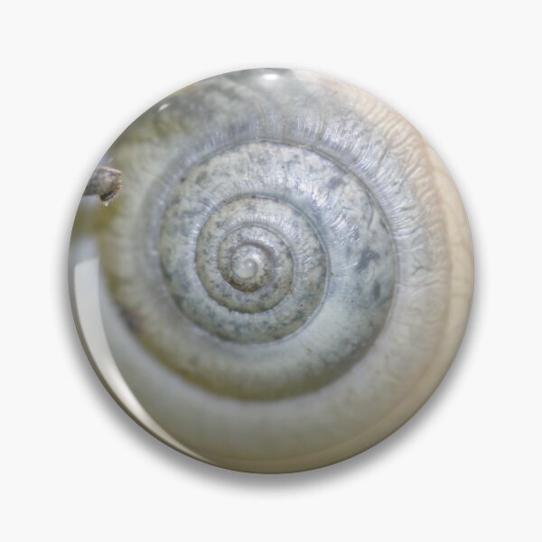 Item preview, Snail shell designed and sold by 2020visuals.