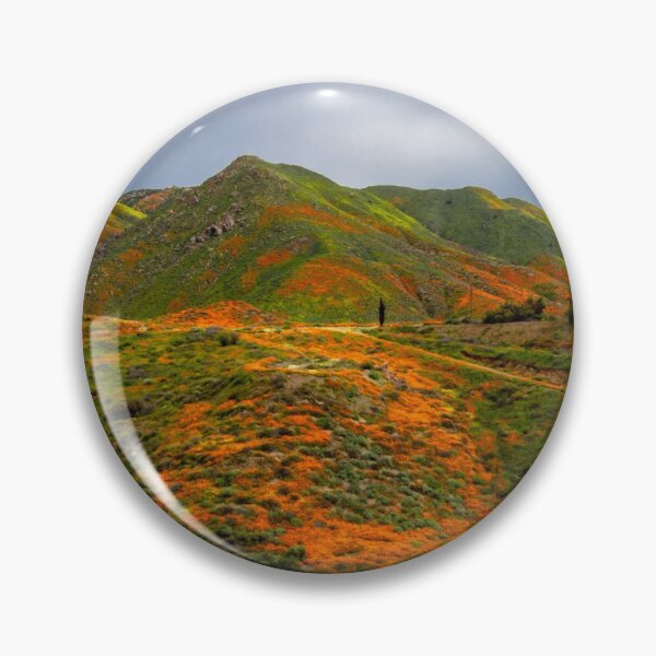 Item preview, Lake Elsinore Poppies designed and sold by nbrandsberg.