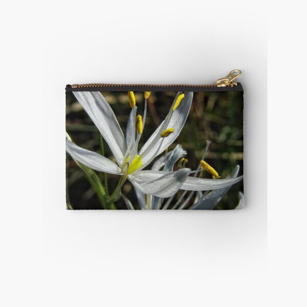 Item preview, Camas in White designed and sold by Heather Haderly.